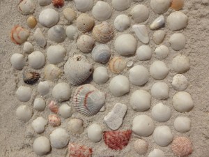 Pensacola Seashell Mosaic